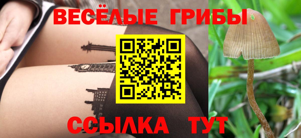 Псилоцибиновые грибы Cubensis  Вход с VPN  Туапсе 